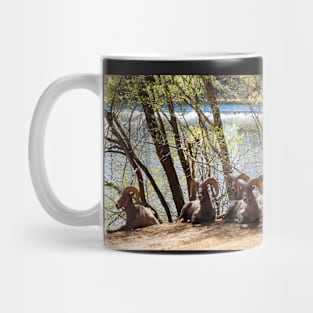 Bighorn Sheep Mug